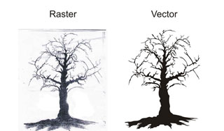 Raster vector Gallery10