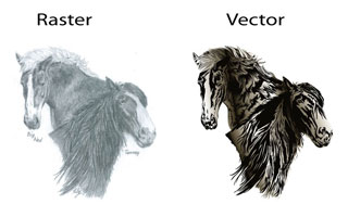 Raster vector Gallery3